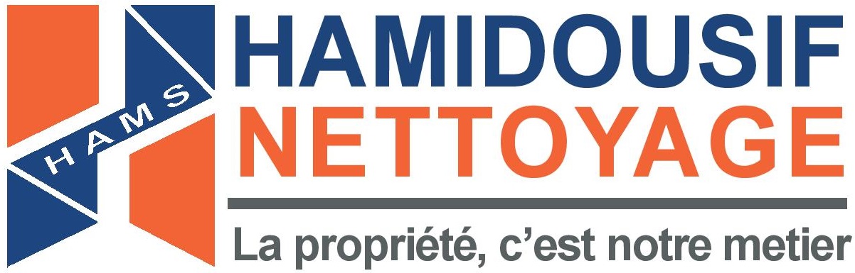 LOGO HAMIDOUSIF